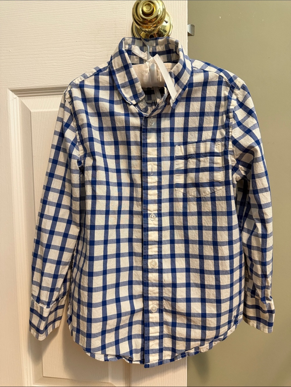 Crewcuts Blue and White Plaid Button-Down Shirt